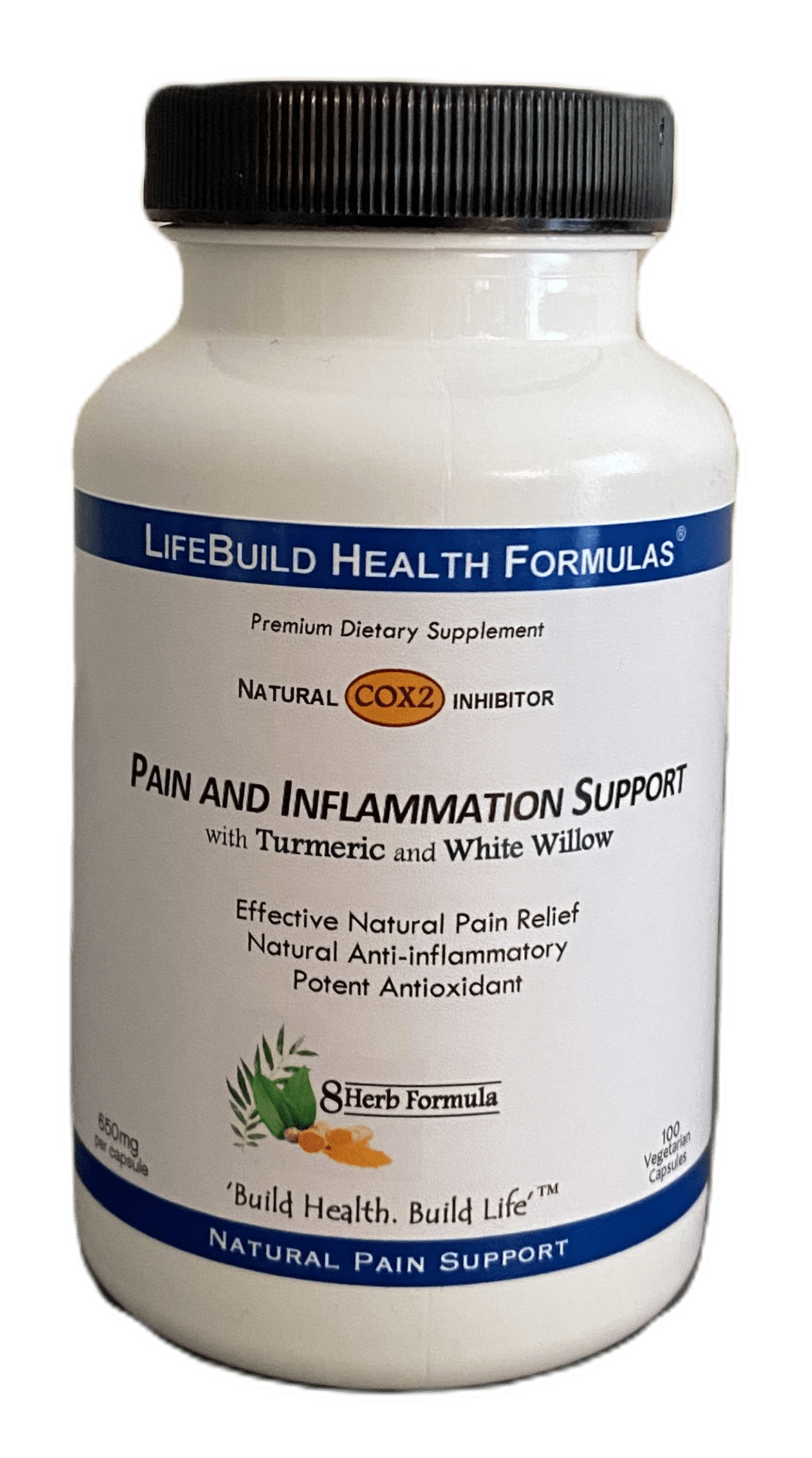 Pain and Inflammation Natural Relief2